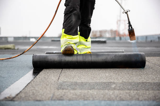 Best Roof Maintenance  in Richwood, WV